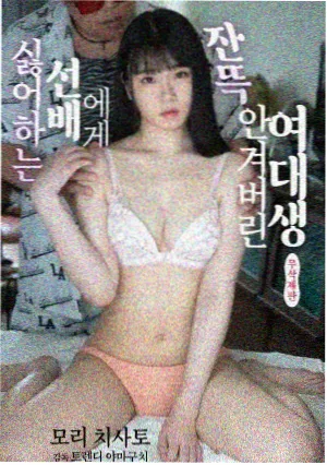 秦岭古楼剧集海报